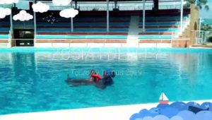 delfinoterapia