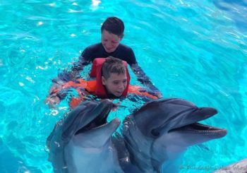 Delfinoterapia – KUSADASI (Turcja) –  sezon 2023