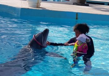 Delfinoterapia – ALANYA/Turkler (Turcja) –  wiosna – jesień 2023